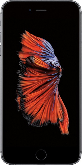 Ремонт iPhone 6S Plus в Подольске
